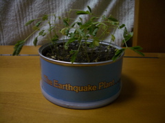 1207EarthquakePlant.jpg